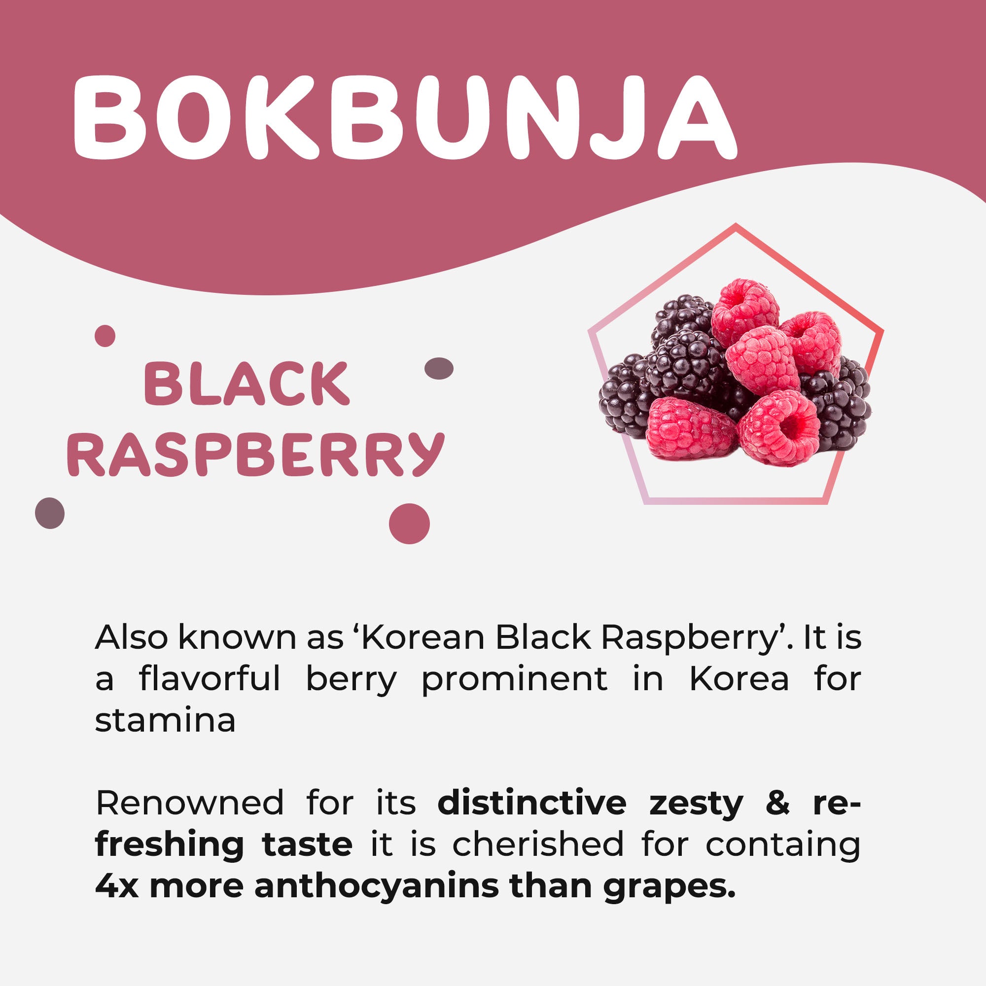 Feature of Black Raspberry(Bokbunja)