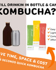 Korean Super Kombucha | Variety Pack 20T l Schisandra Berry, Citron Yuzu, Green Plum Maesil Black Raspberry