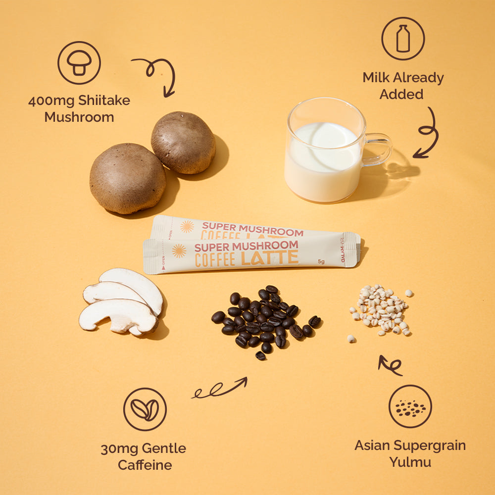 Super Mushroom Coffee Latte 30T | Sunshine Latte