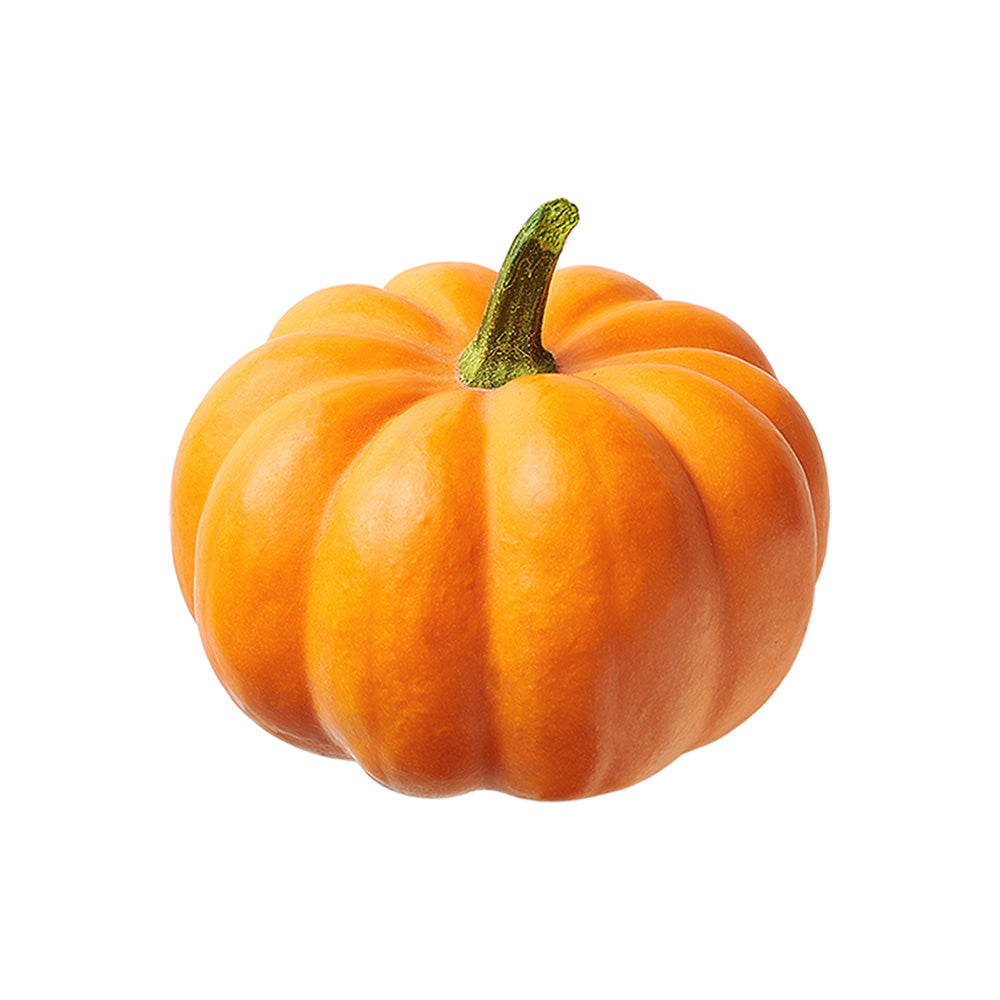 Korean Pumpkin