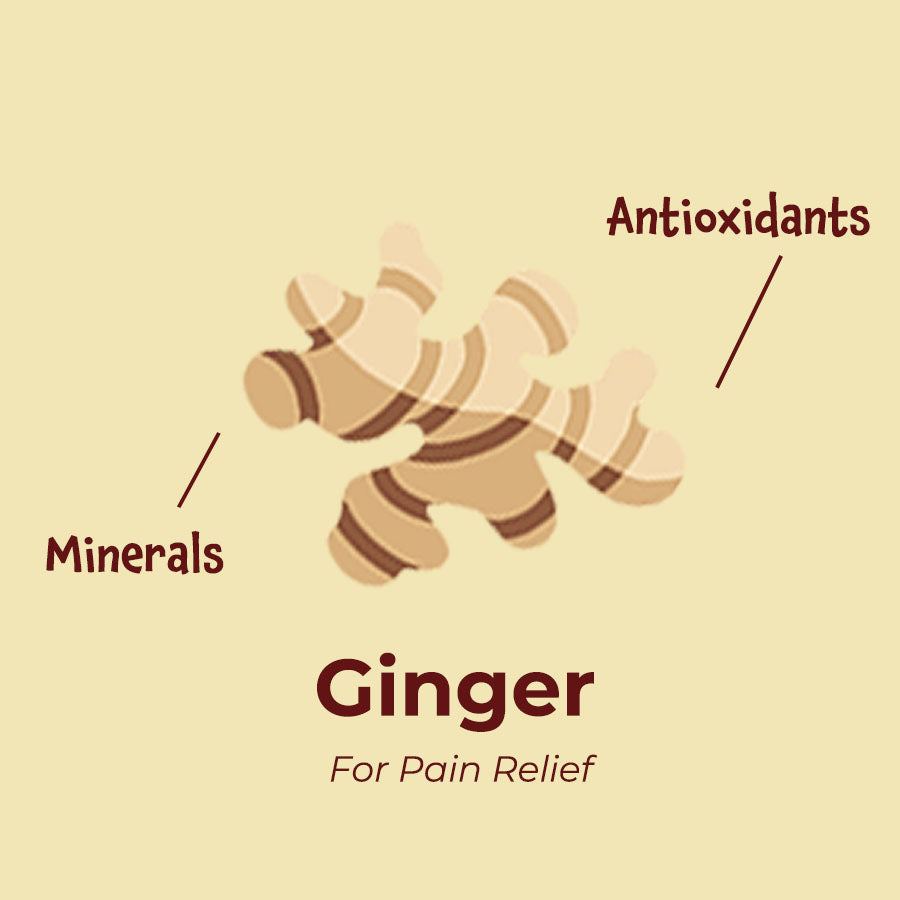 Korean Ginger rich in antioxidants & minerals.