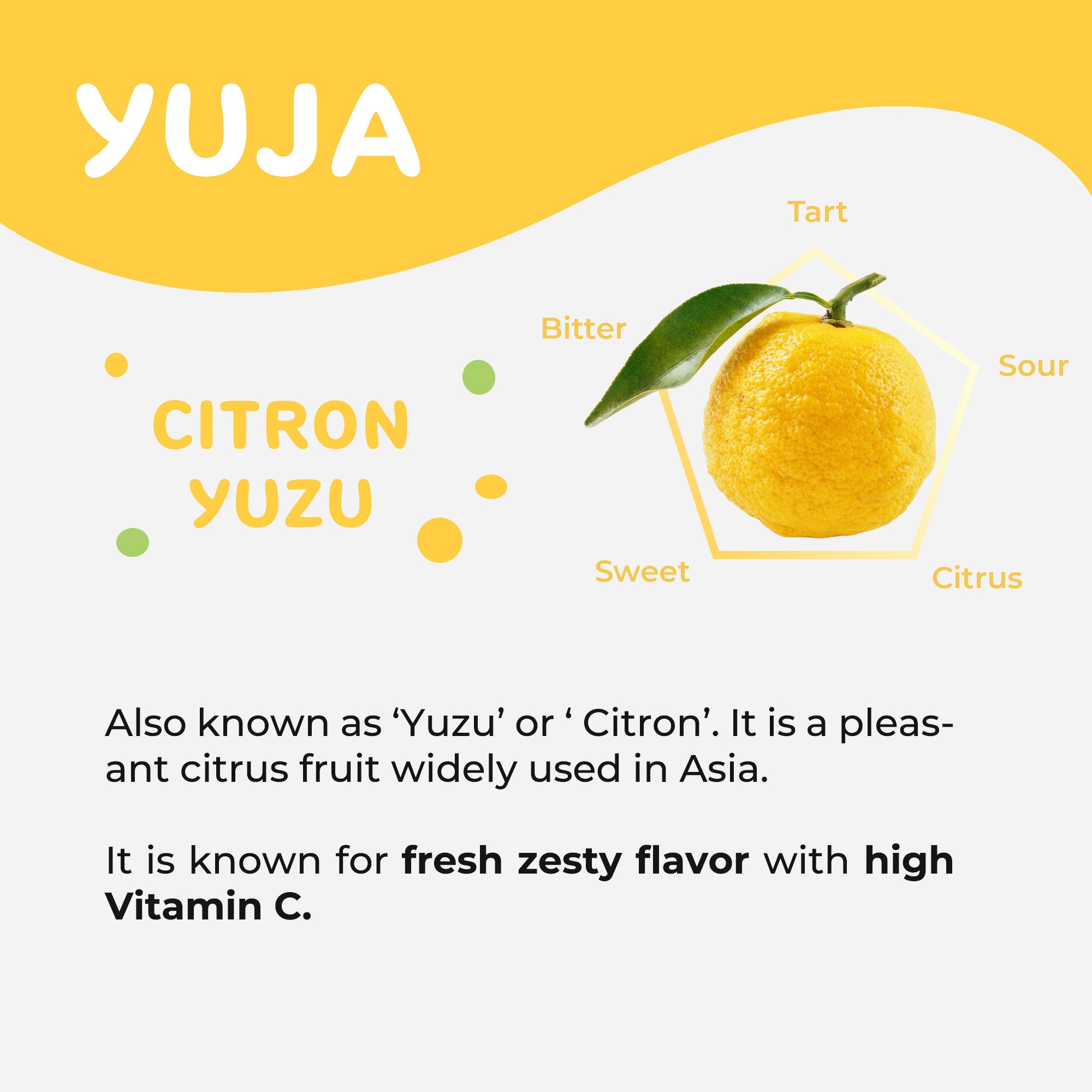 Korean Super Kombucha | Citron Yuja